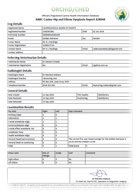 Picture of Cadenzahgold Hip Score evaluation