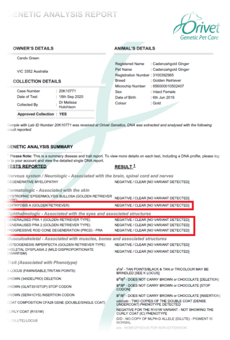 Picture of Cadenzahgold DNA Certification