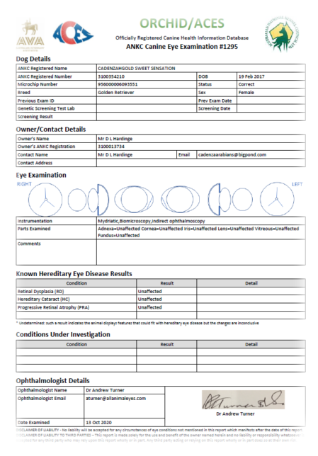 Picture of Cadenzahgold Eye Certificate - Orchid / ACES