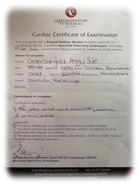 Picture of Cadenzahgold heart certificate